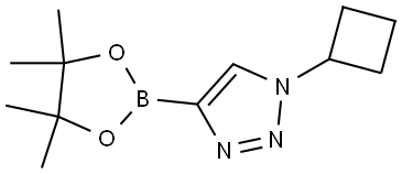 1-CYCLOBUTYL-4-(TETRAMETHYL-1,3,2-DIOXABOROLAN-2-YL)-1H-1,2,3-TRIAZOLE 结构式