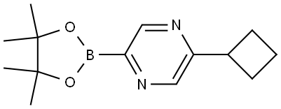 2-cyclobutyl-5-(4,4,5,5-tetramethyl-1,3,2-dioxaborolan-2-yl)pyrazine 结构式