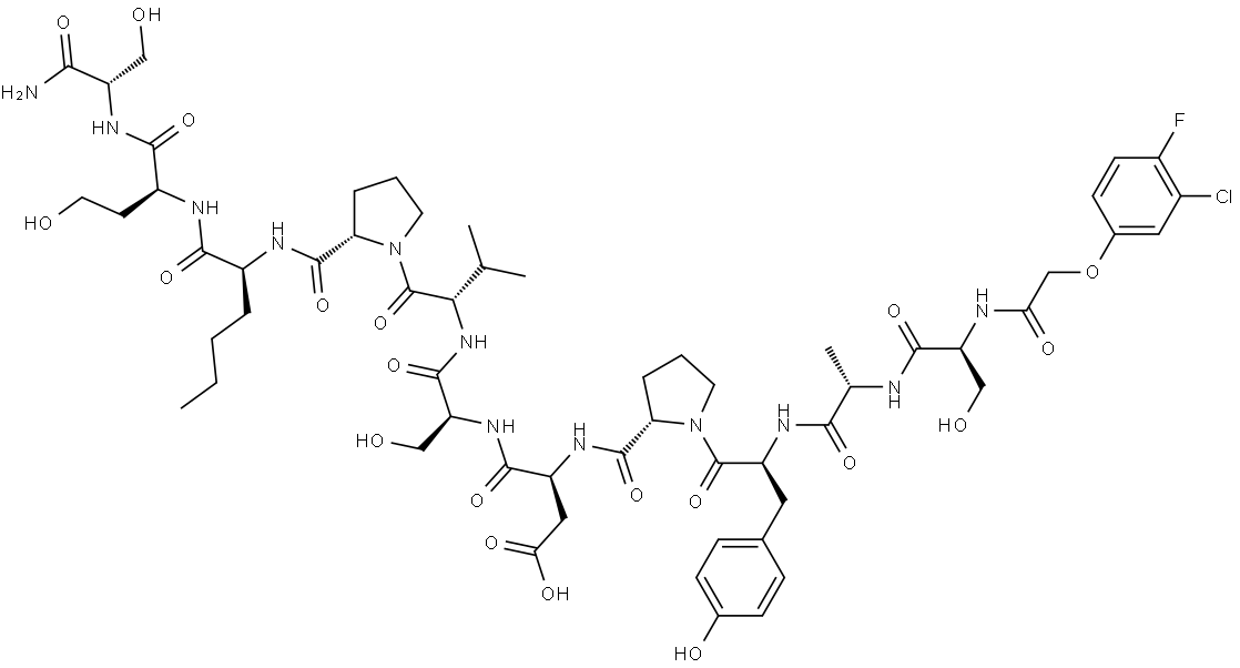 肿瘤归巢剂多肽123B9 结构式