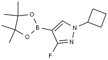 1-cyclobutyl-3-fluoro-4-(4,4,5,5-tetramethyl-1,3,2-dioxaborolan-2-yl)-1H-pyrazole 结构式