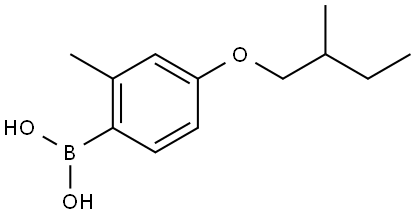 B-[2-Methyl-4-(2-methylbutoxy)phenyl]boronic acid 结构式