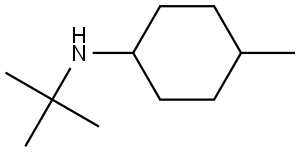 N-(tert-butyl)-4-methylcyclohexanamine 结构式