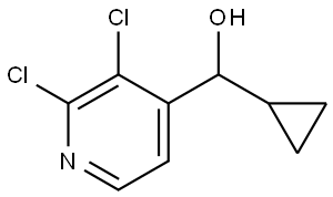 cyclopropyl(2,3-dichloropyridin-4-yl)methanol 结构式