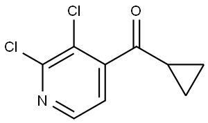 cyclopropyl(2,3-dichloropyridin-4-yl)methanone 结构式