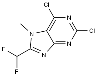 2,6-二氯-8-(二氟甲基)-7-甲基-7H-嘌呤 结构式