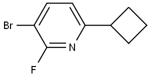 3-bromo-6-cyclobutyl-2-fluoropyridine 结构式