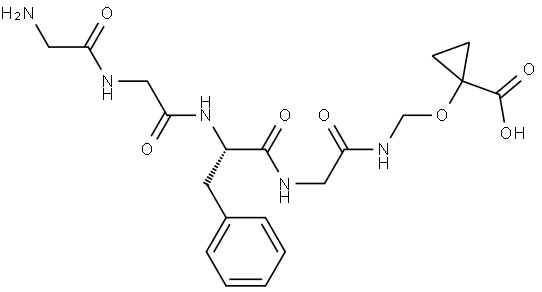Gly-Gly-L-Phe-N-[(carboxycyclopropoxy)methyl]Glycinamide 结构式