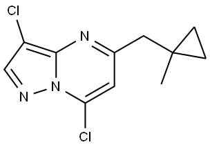 3,7-二氯-5-((1-甲基环丙基)甲基)吡唑并[1,5-A]嘧啶 结构式