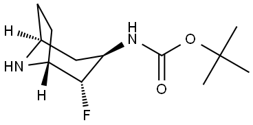 tert-butyl N-[(1R,2R,3R,5S)-2-fluoro-8-azabicyclo[3.2.1]octan-3-yl]carbamate 结构式