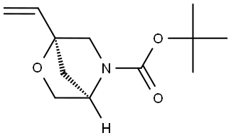 tert-butyl (1S,4R)-1-vinyl-2-oxa-5-azabicyclo[2.2.1]heptane-5-carboxylate 结构式