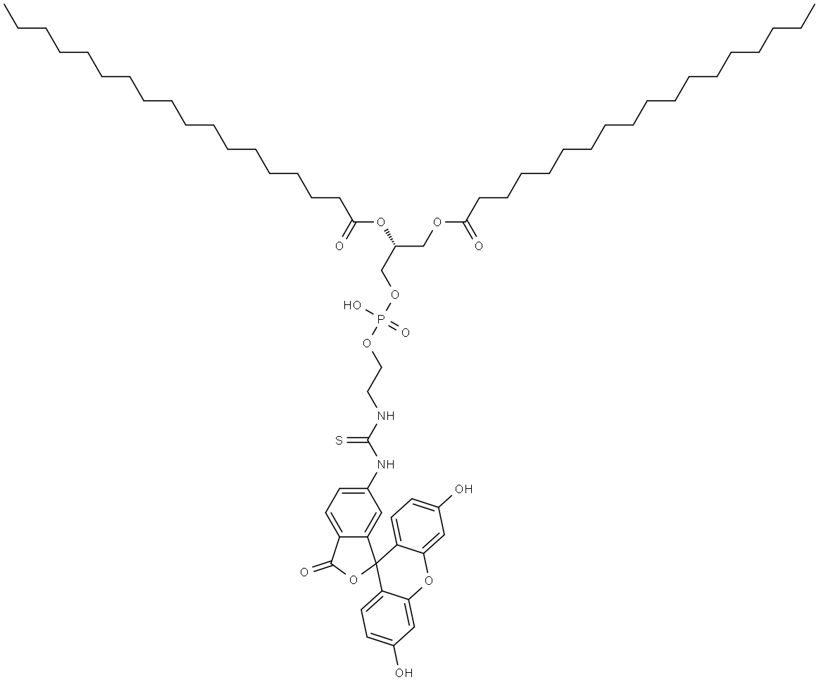 磷脂-荧光素,二硬脂酰基磷脂酰乙醇胺--荧光素 结构式
