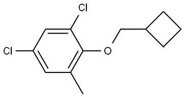 1,5-dichloro-2-(cyclobutylmethoxy)-3-methylbenzene 结构式