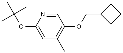 2-(tert-butoxy)-5-(cyclobutylmethoxy)-4-methylpyridine 结构式