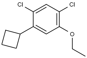 1,5-dichloro-2-cyclobutyl-4-ethoxybenzene 结构式