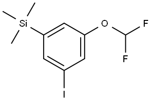 (3-(difluoromethoxy)-5-iodophenyl)trimethylsilane 结构式