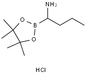 1-(4,4,5,5-TETRAMETHYL-1,3,2-DIOXABOROLAN-2-YL)BUTYLAMINE HYDROCHLORIDE 结构式