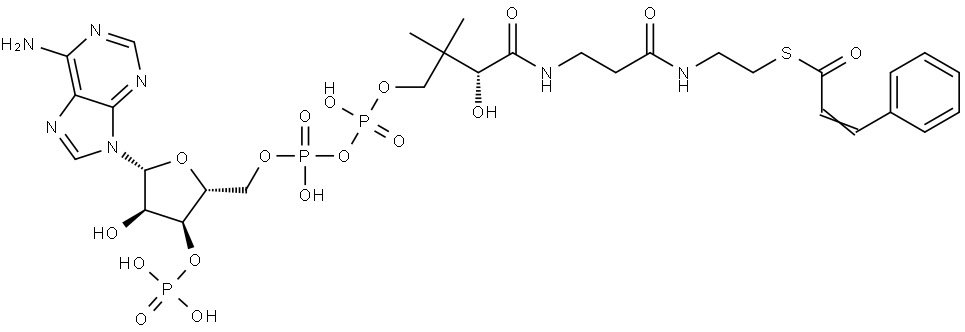 CINNAMOYL COA 结构式