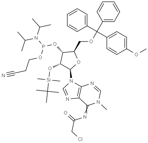 N6-Chloroacetyl-5’-O-DMT -N1-methyl-2’-O-TBDMS-adenosine 3’-CED phosphoramidite 结构式