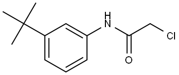 2-Chloro-N-[3-(1,1-dimethylethyl)phenyl]acetamide 结构式