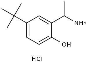 2-(1-aminoethyl)-4-(tert-butyl)phenol hydrochloride 结构式