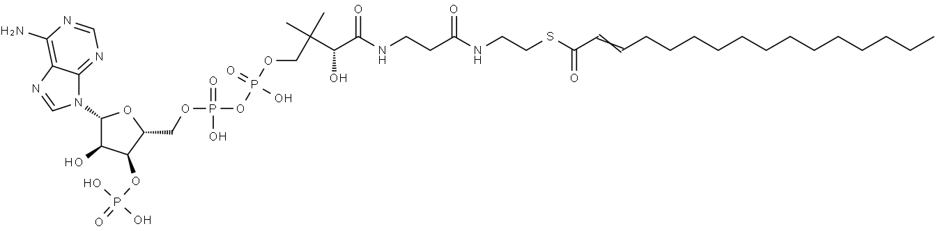 2-Hexadecenoyl-CoA 结构式