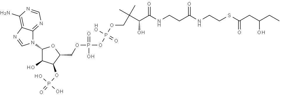 Coenzyme A, S-(3-hydroxypentanoate) (9CI) 结构式