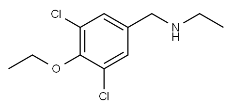 Benzenemethanamine, 3,5-dichloro-4-ethoxy-N-ethyl- 结构式