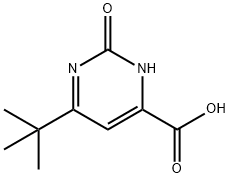 6-叔-丁基-2-羟基-嘧啶-4-羧酸 结构式