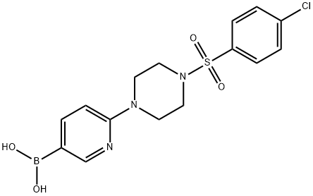2-[4-(4-Chlorophenylsulfonyl)piperazin-1-yl]pyridine-5-boronic acid 结构式