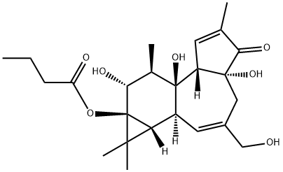 PHORBOL 13-BUTYRATE, 4BETA 结构式