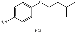 CP-24879 HYDROCHLORIDE 结构式