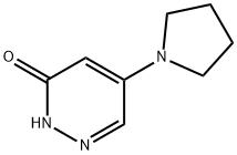 5-(吡咯烷-1-基)-2,3-二氢哒嗪-3-酮 结构式