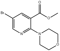 Methyl5-bromo-2-morpholinonicotinate