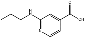 2-(Propylamino)isonicotinic acid 结构式