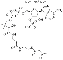 乙酰乙酰辅酶A 结构式