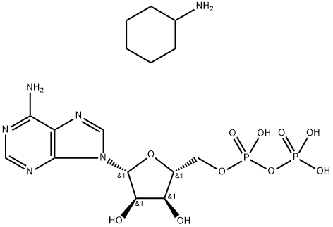 Adenosine 5&#8242;-diphosphate bis(cyclohexylammonium) salt