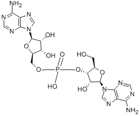 ADENYLYL(3'-5')ADENOSINE