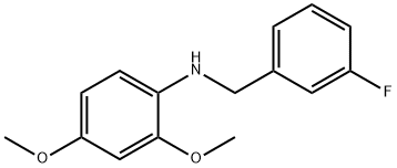 2,4-二甲氧基-N-(3-氟苄基)苯胺 结构式