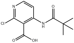 2-CHLORO-4-PIVALAMIDONICOTINIC ACID 结构式