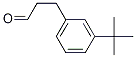 Benzenepropanal, 3-(1,1-diMethylethyl)- 结构式