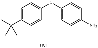 4-[4-(TERT-BUTYL)PHENOXY]ANILINE HYDROCHLORIDE 结构式