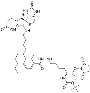 N2-t-Boc-N6-(biotinamido-6-N-caproylamido)lysine N-Hydroxysuccinimide Ester 结构式