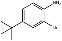 2-溴-4-叔丁基苯胺 结构式
