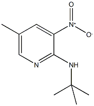 2-T-BUTYLAMINO-5-METHYL-3-NITROPYRIDINE 结构式