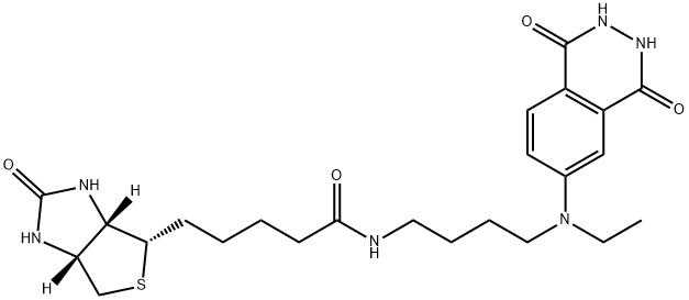 aminobutylethylisoluminol-biotin 结构式