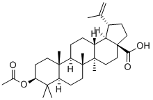 3BETA-ACETOXYBETULINIC ACID