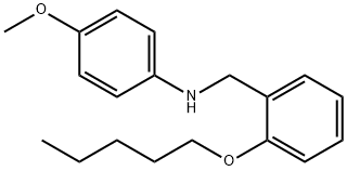 N-(4-Methoxyphenyl)-N-[2-(pentyloxy)benzyl]amine 结构式