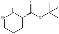(S)-叔丁基六氢哒嗪-3-羧酸酯 结构式