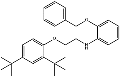 2-(Benzyloxy)-N-{2-[2,4-di(tert-butyl)phenoxy]-ethyl}aniline 结构式