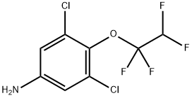 3,5-二氯-4-(1,1,2,2-四氟乙氧基)苯胺 结构式